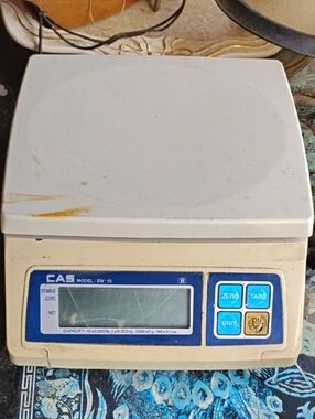 CAS  Professional Portion Control Digital Scale SW-1D in White and Blue